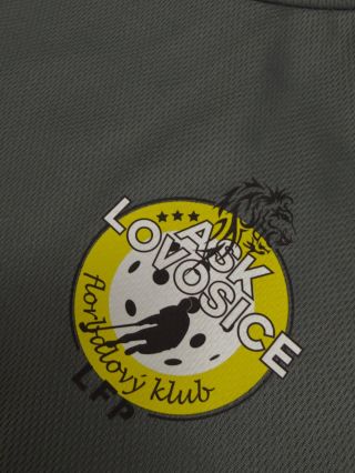 ASK Lovosice florbalový klub. Dotisk zakázky. DTF potisk loga, čísla a jména. #dtf #florbal
